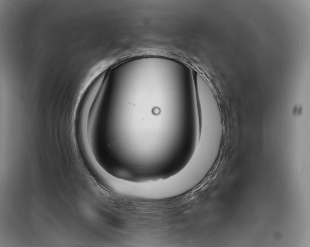 X0000099440104200805301459