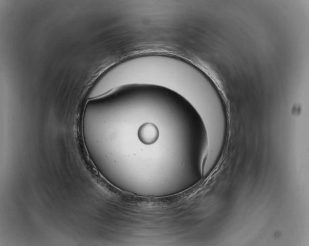 X0000099440105200805301459