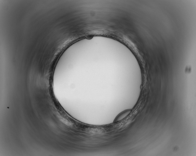 X0000099440106200805301459