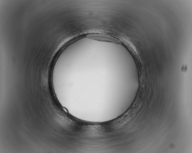 X0000099440108200805301459