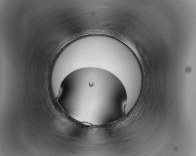 X0000099440109200805301459