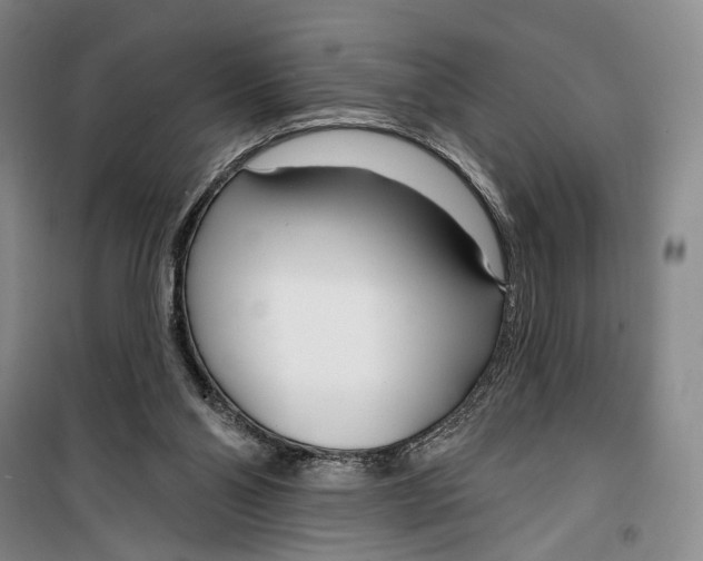 X0000099440110200805301459