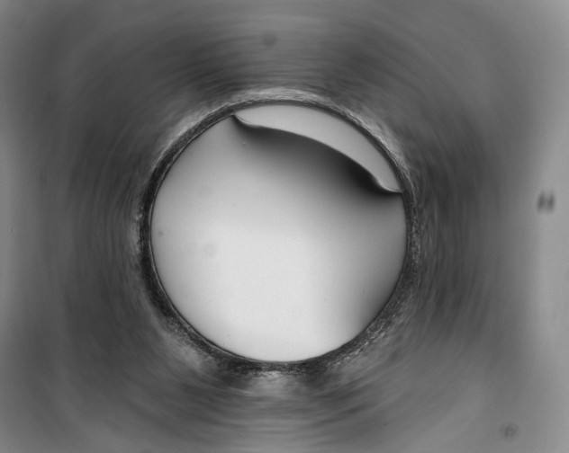 X0000099440111200805301459