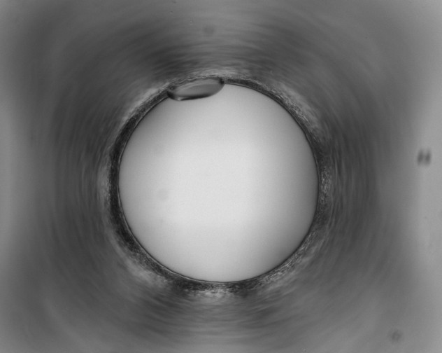 X0000099440112200805301459