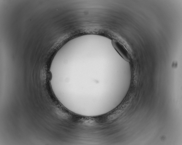 X0000099440113200805301459