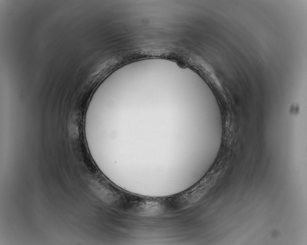 X0000099440114200805301459