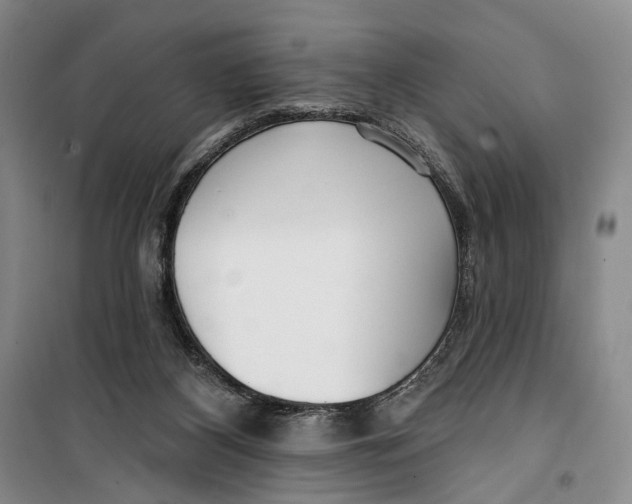 X0000099440116200805301459