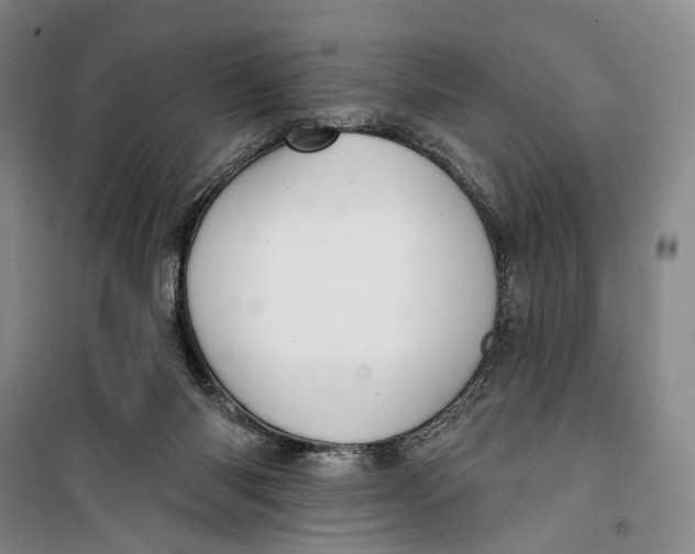 X0000099440118200805301459