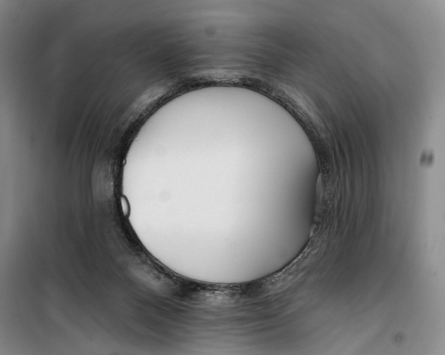 X0000099440120200805301459