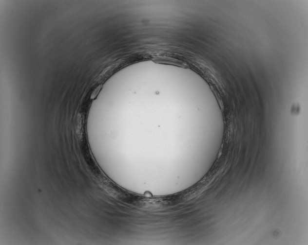 X0000099440121200805301459