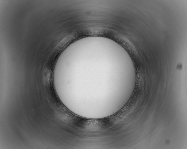 X0000099440123200805301459