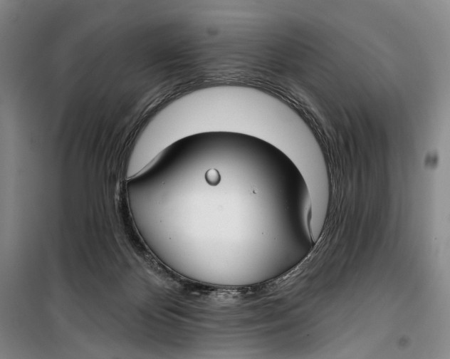 X0000099440124200805301459