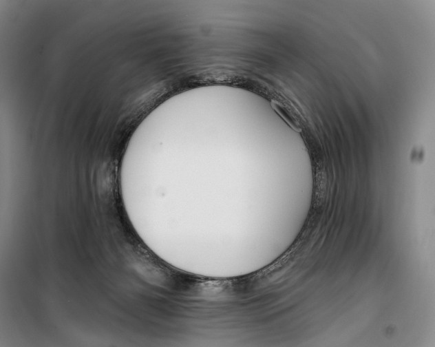 X0000099440126200805301459