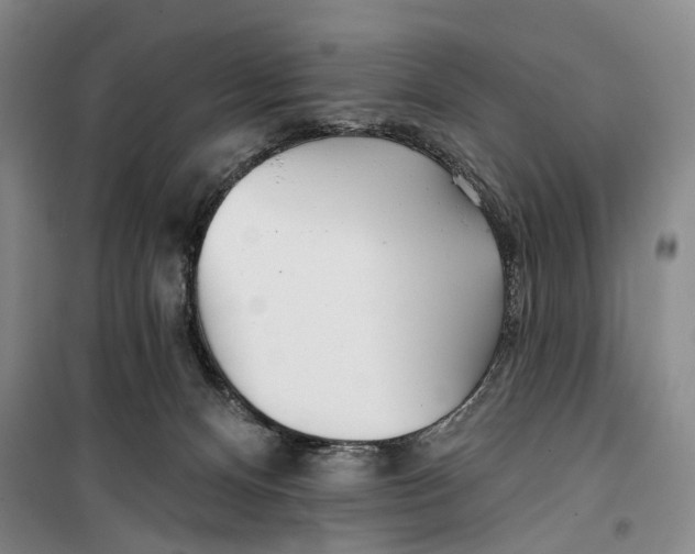 X0000099440128200805301459