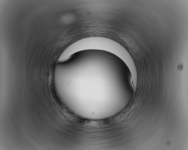 X0000099440129200805301459