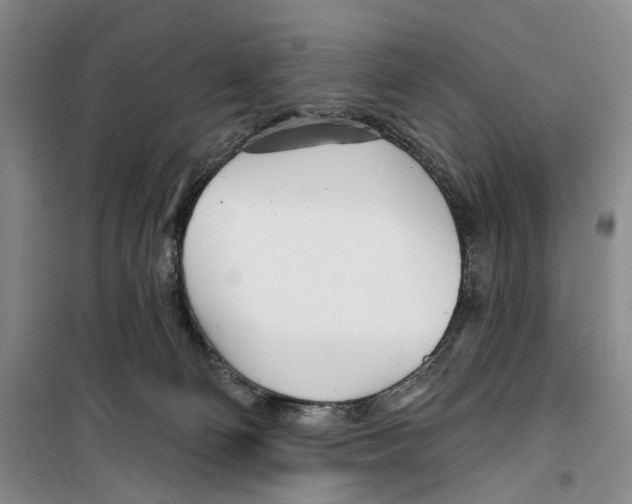 X0000099440130200805301459