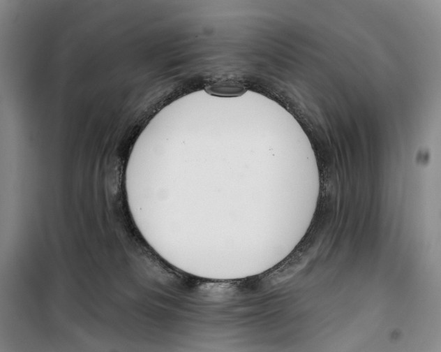 X0000099440133200805301459