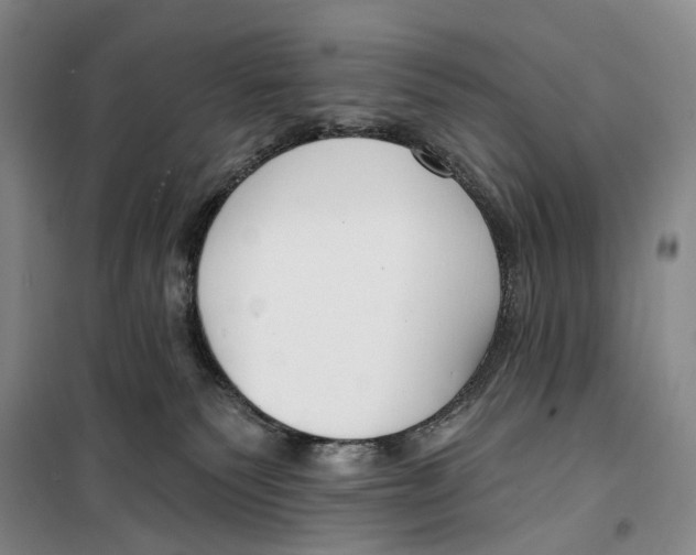 X0000099440135200805301459