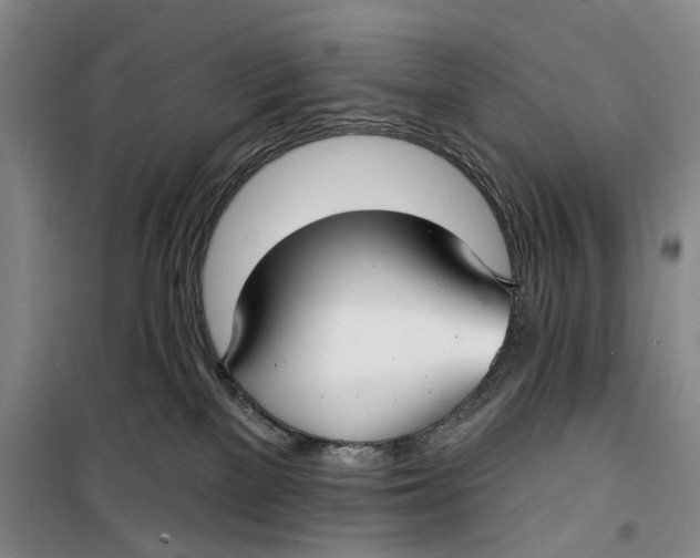 X0000099440137200805301459