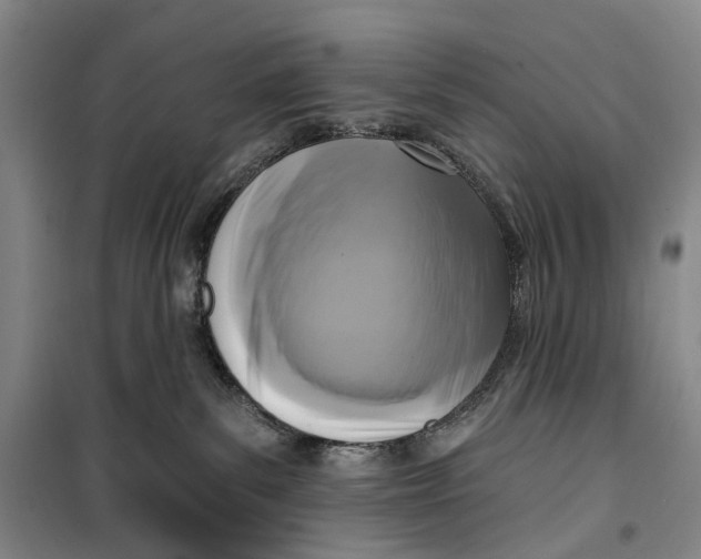 X0000099440139200805301459