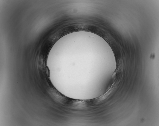 X0000099440140200805301459