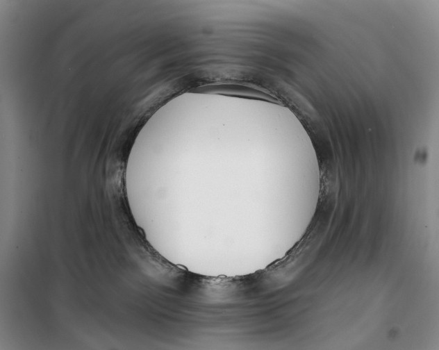 X0000099440141200805301459