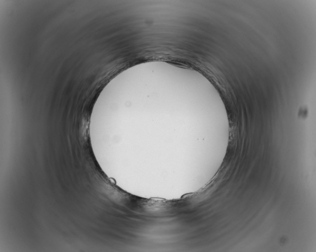 X0000099440142200805301459