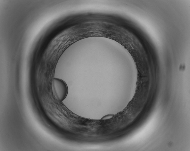 X0000099440143200805301459