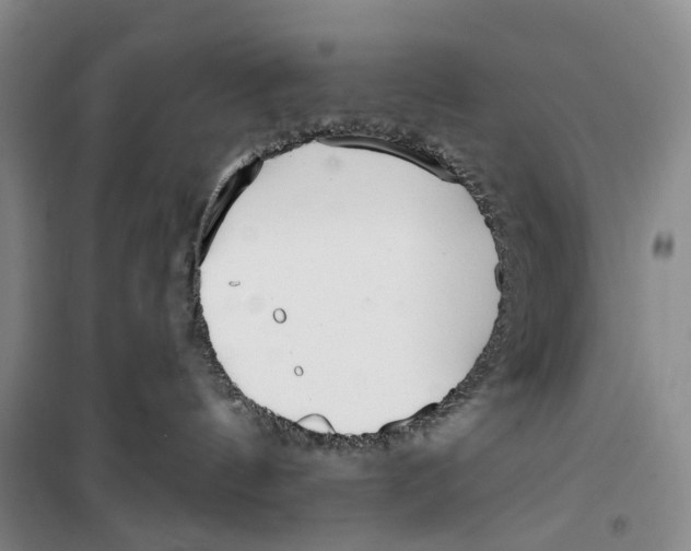 X0000099440144200805301459