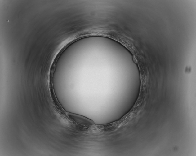 X0000099440148200805301458