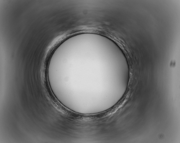 X0000099440149200805301458