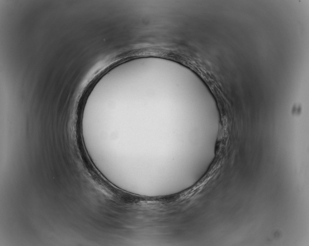 X0000099440150200805301458