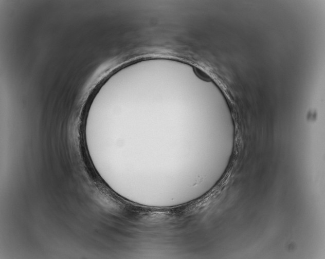 X0000099440151200805301458