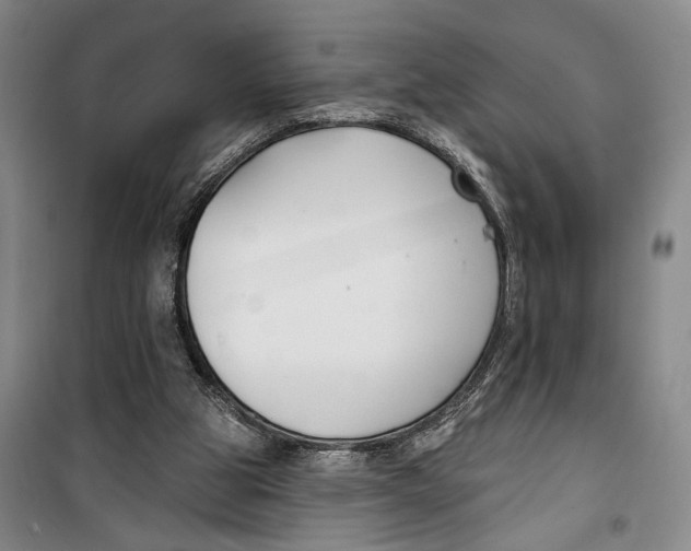 X0000099440153200805301458