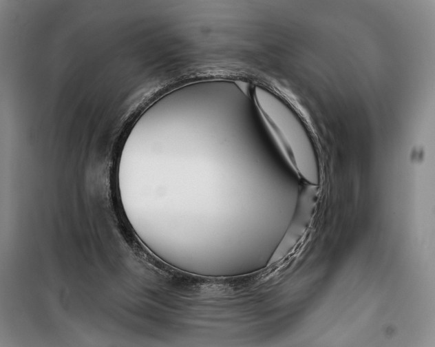 X0000099440154200805301458