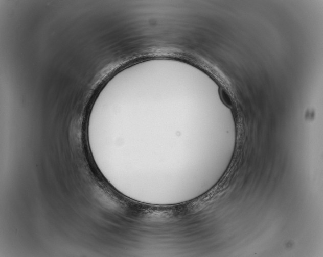 X0000099440155200805301458