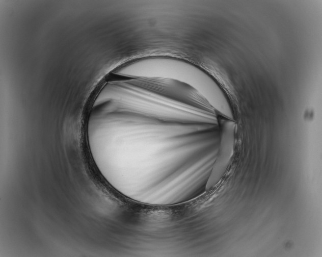 X0000099440156200805301458