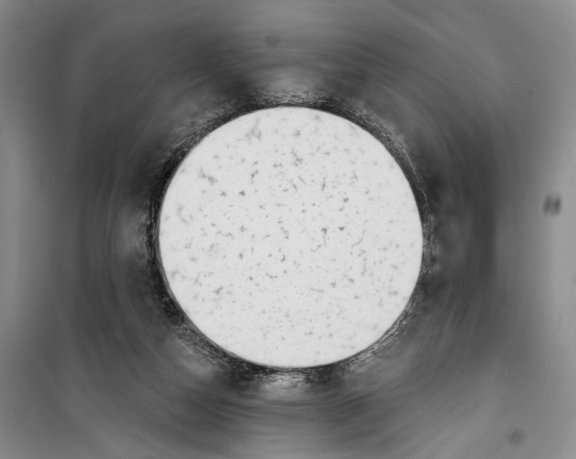 X0000099440162200805301458