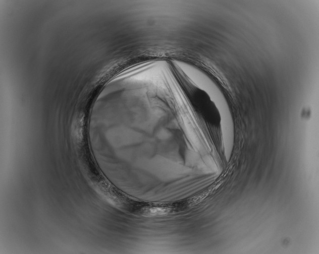 X0000099440163200805301458