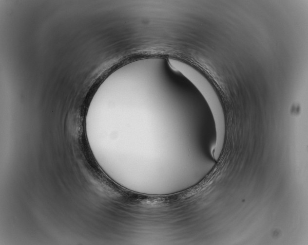 X0000099440164200805301458