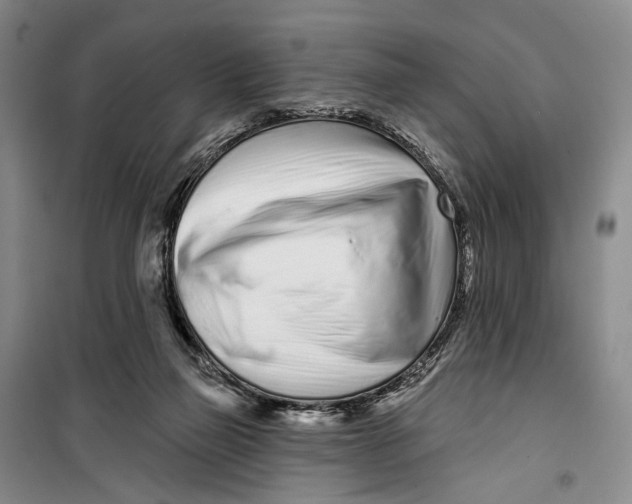 X0000099440165200805301459