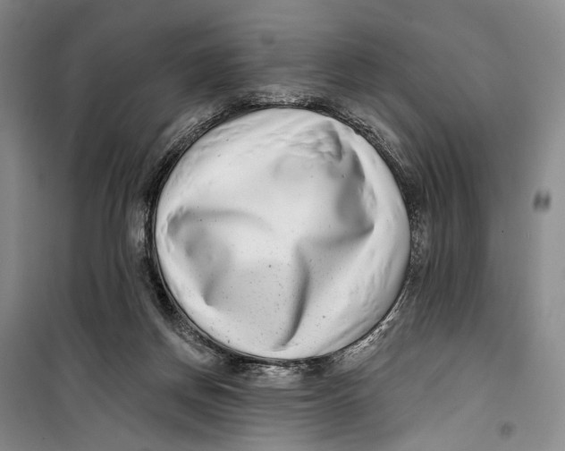 X0000099440166200805301459