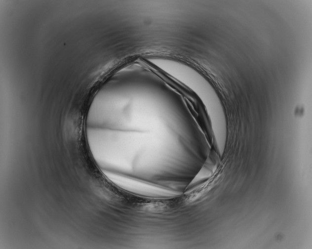 X0000099440168200805301459