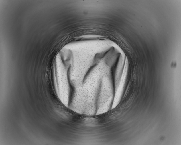 X0000099440169200805301459