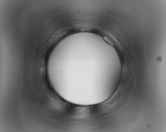 X0000099440170200805301459