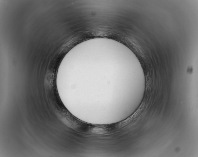 X0000099440171200805301459