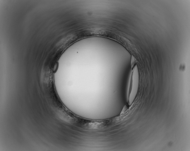 X0000099440172200805301459