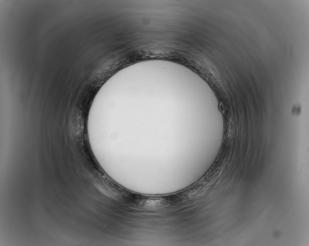 X0000099440173200805301459