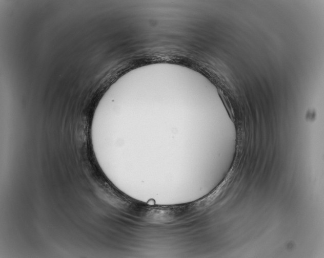 X0000099440174200805301459