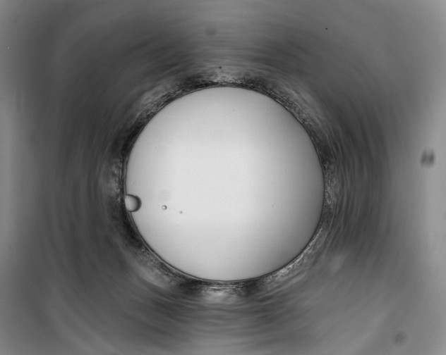 X0000099440175200805301459